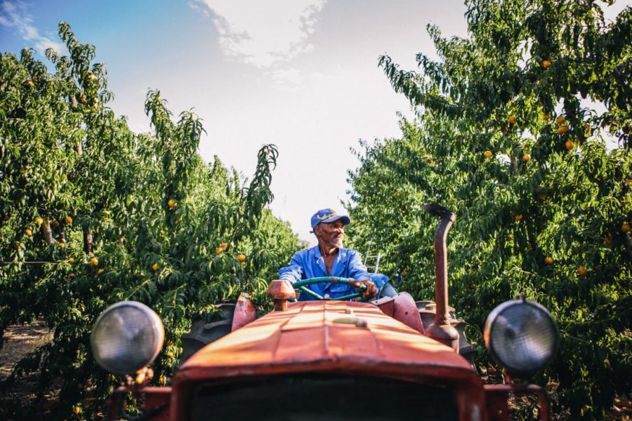 Koelfontein farm worker on a tracker