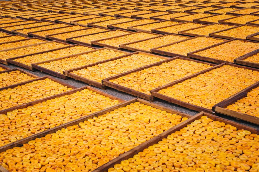 Koelfontein dried fruit